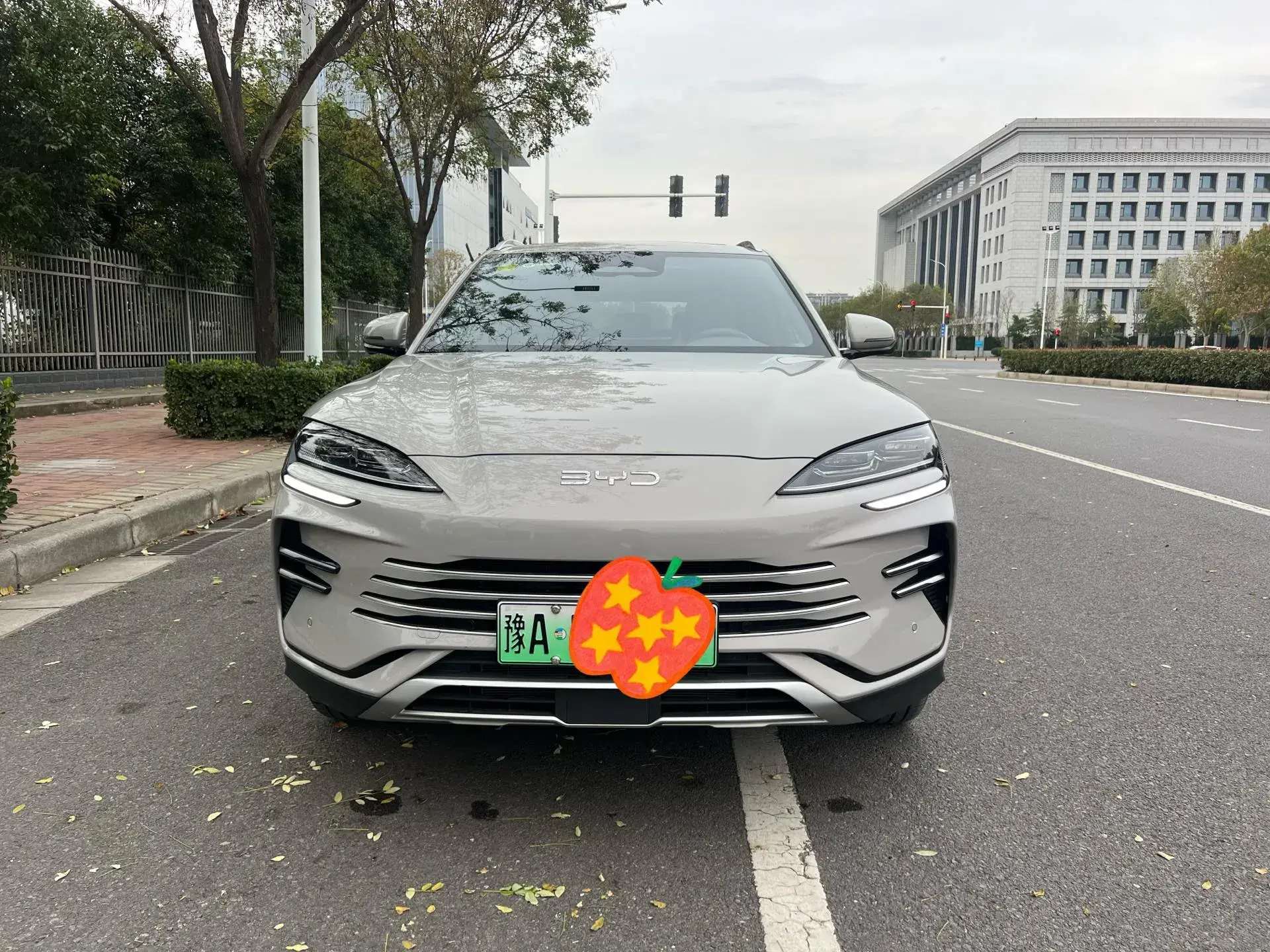 2025 BYD SONG thumbnail 4