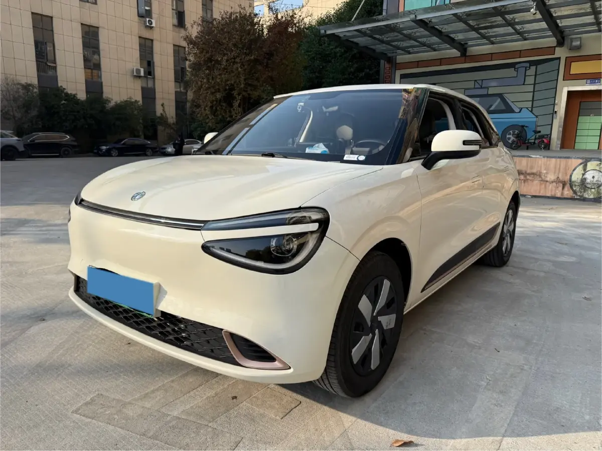 2024 DongFeng Nammi 01 BEV 31.45KWH