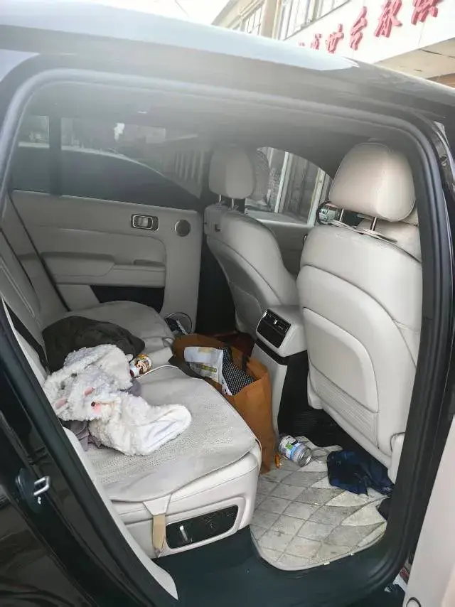 2024 LI L7 thumbnail 4