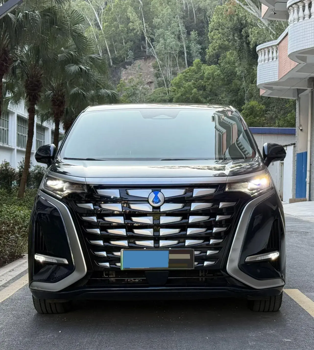 2022 DENZA D9 thumbnail 2