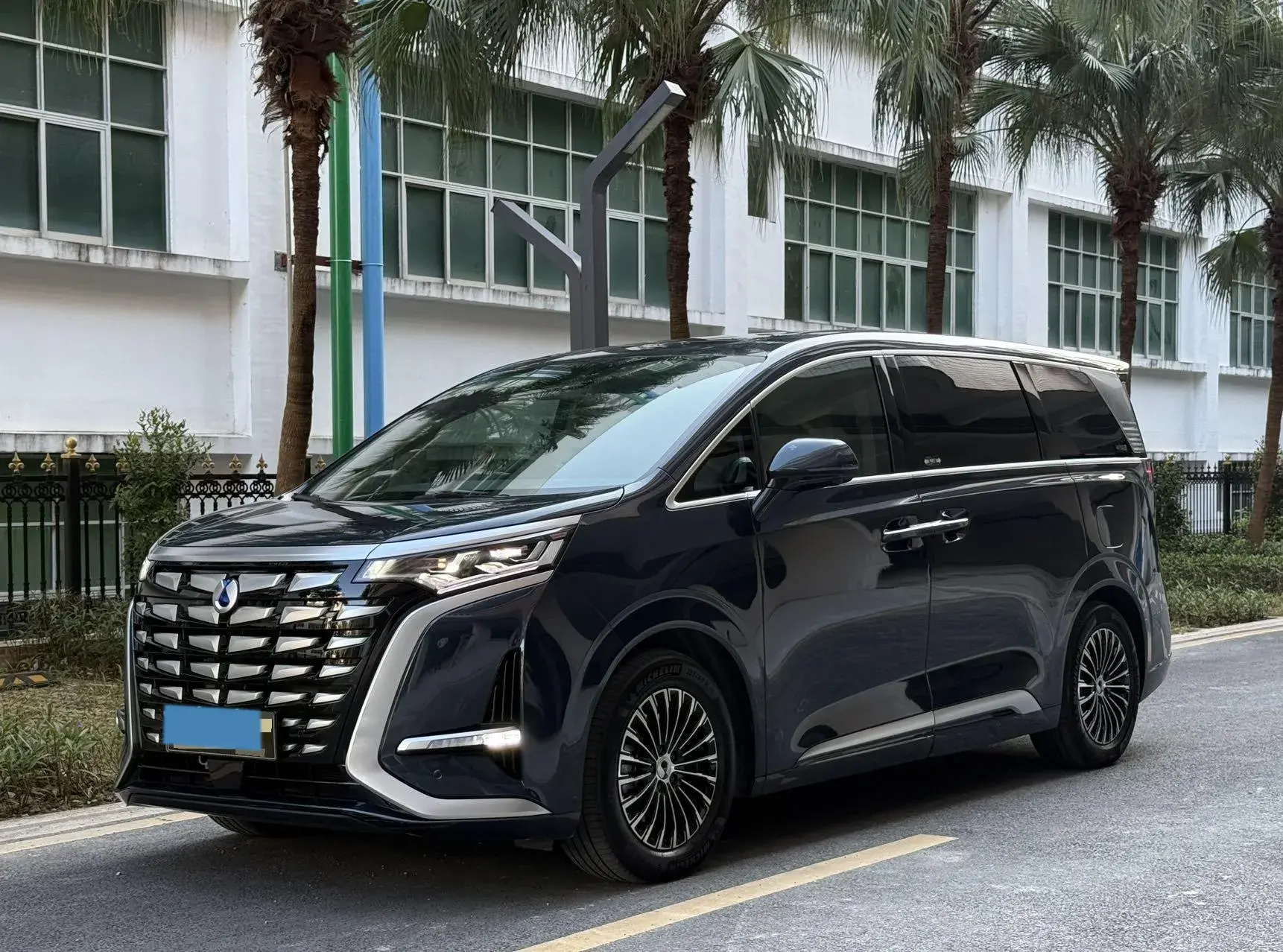 2022 DENZA D9 view 1