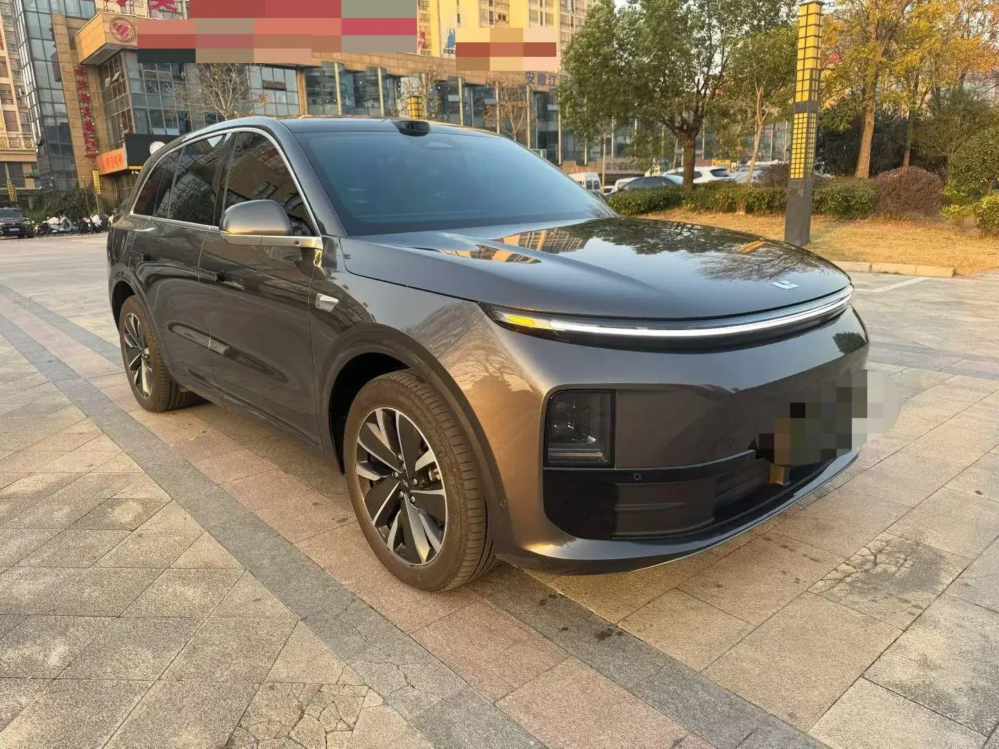 2025 LI L6 thumbnail 3