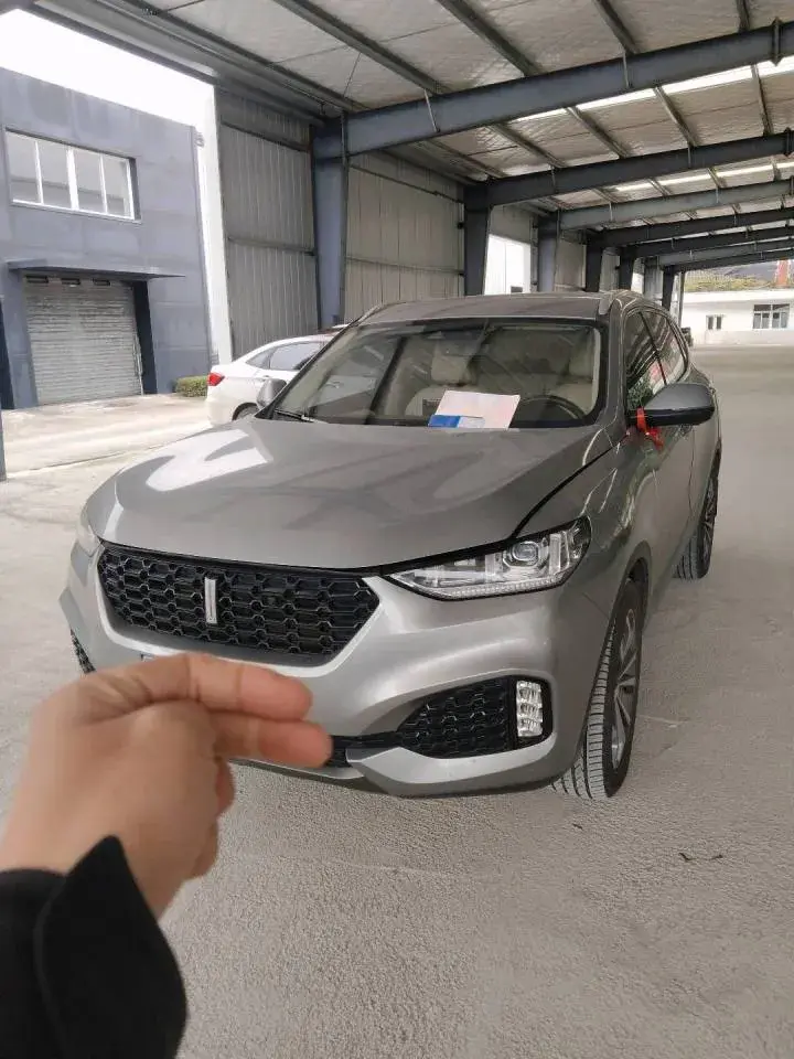 2018 WEY VV6 view 1