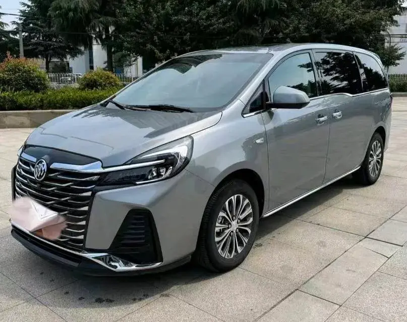 2023 BUICK GL8 view 1