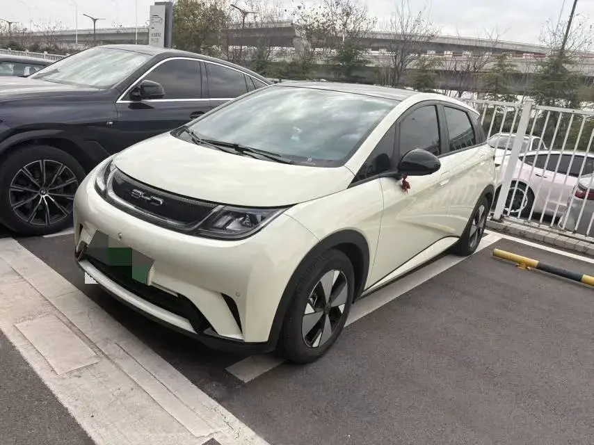 2023 BYD DOLPHIN view 1