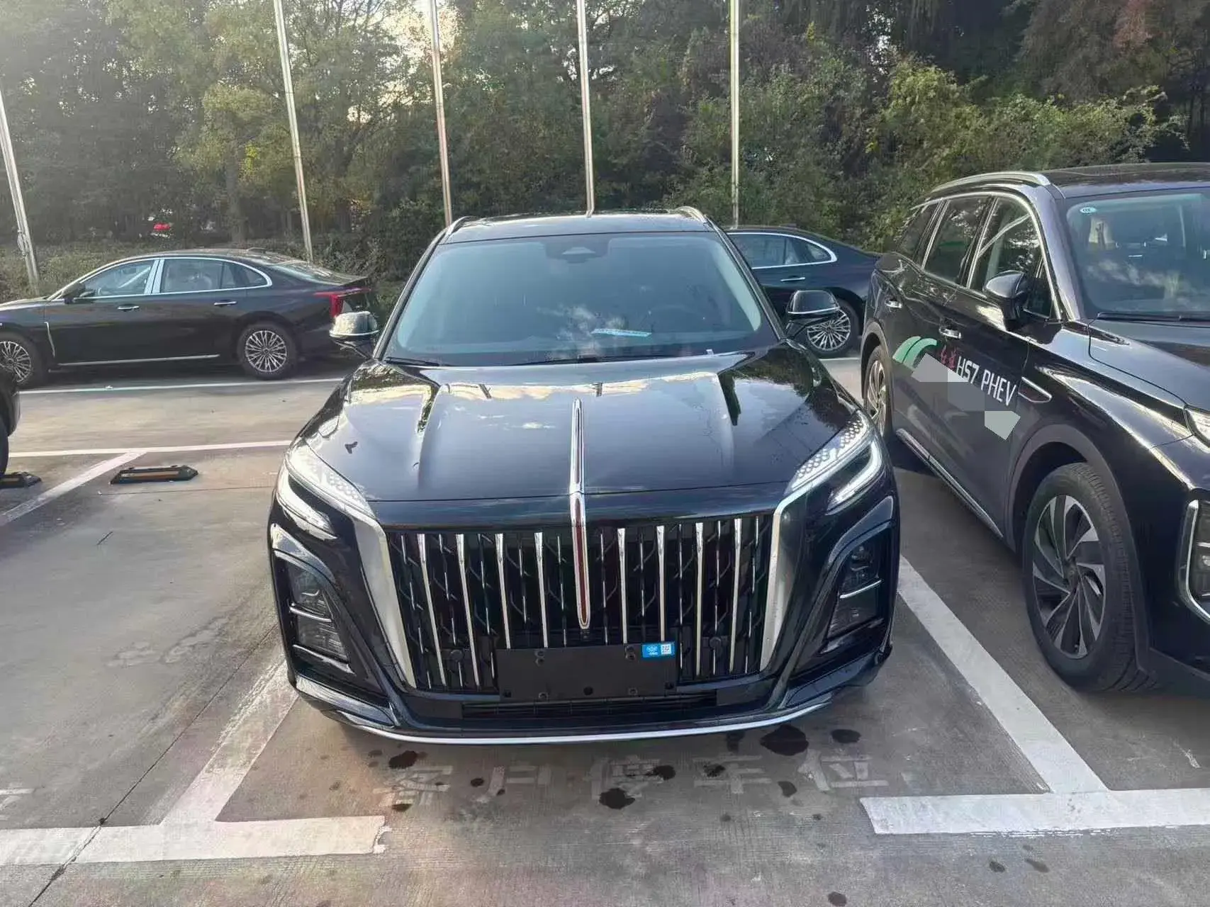 2024 HONGQI HS3 thumbnail 2