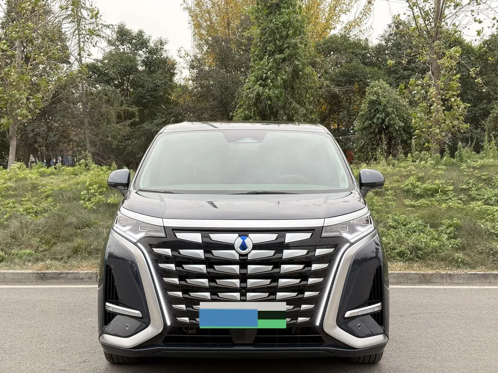 2022 DENZA D9 thumbnail 2