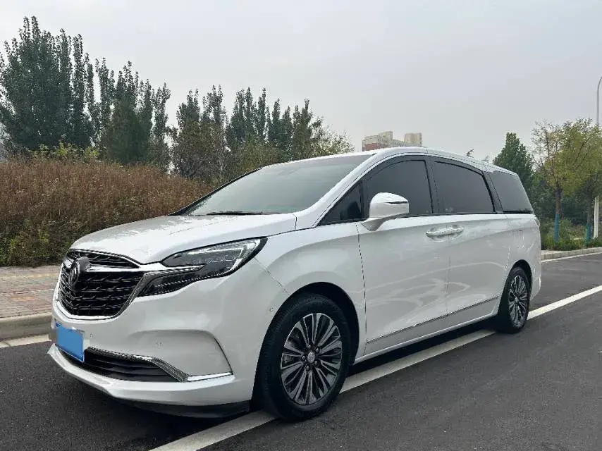 2021 BUICK GL8 view 1