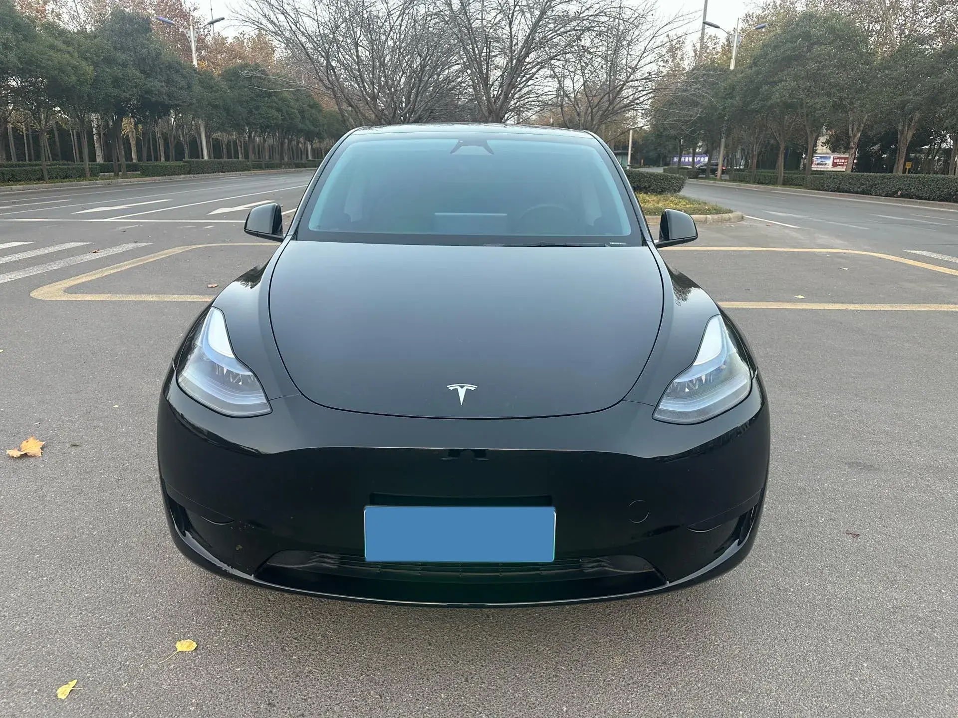 2024 TESLA MODEL thumbnail 2