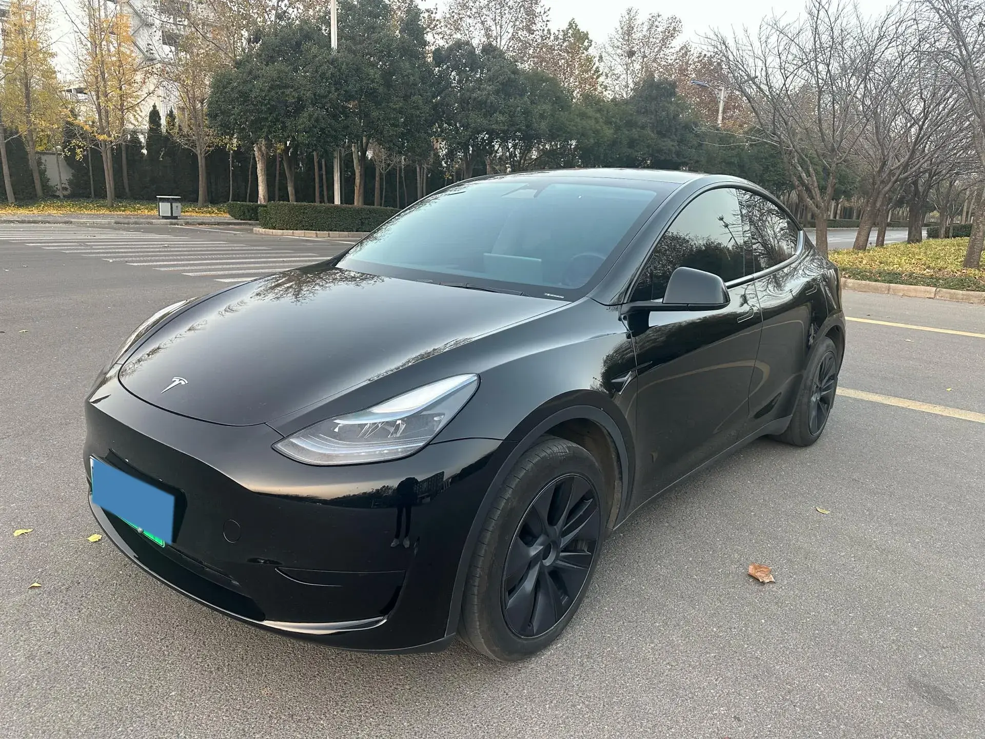 2024 TESLA MODEL view 1