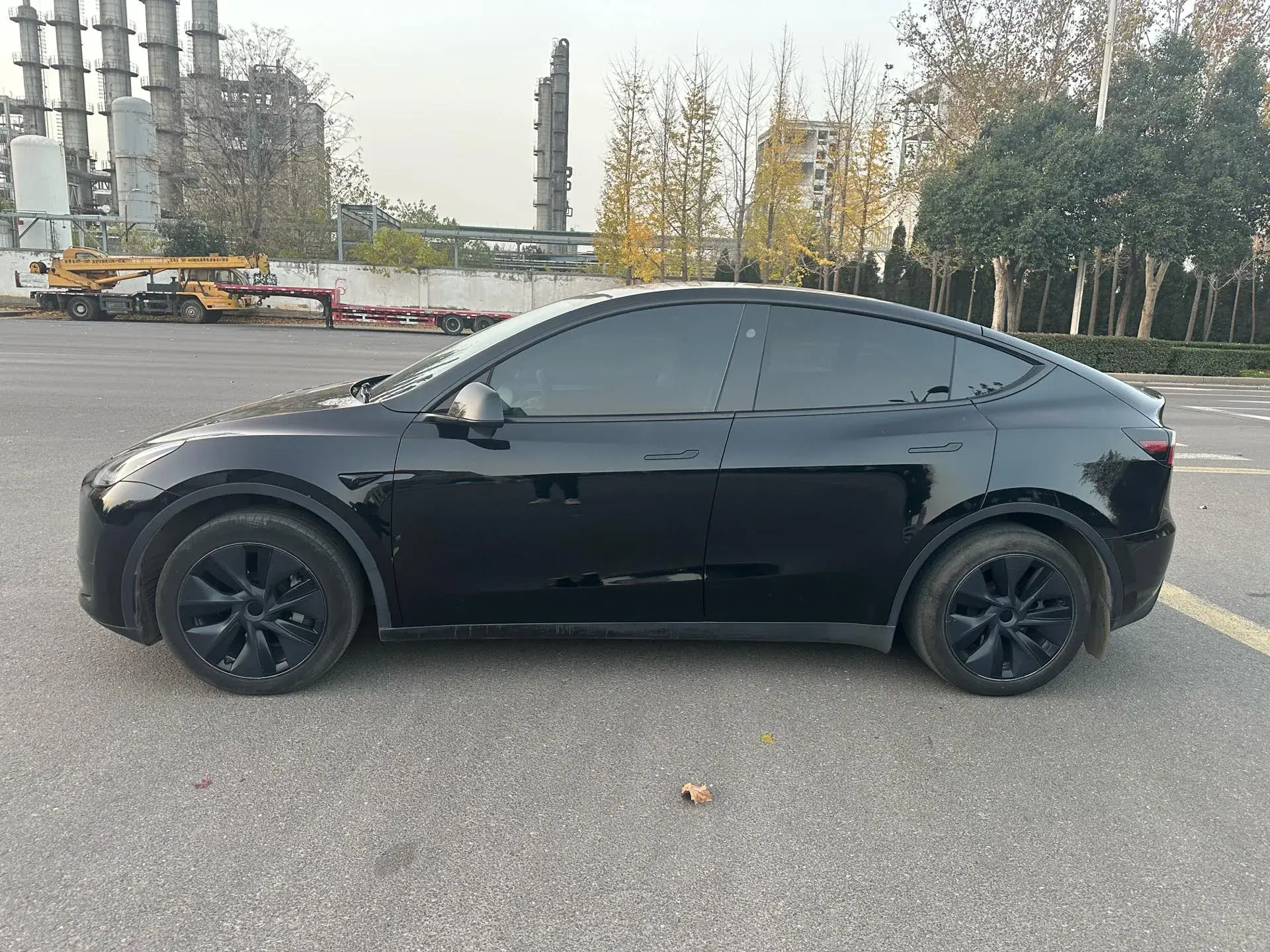 2024 TESLA MODEL thumbnail 4