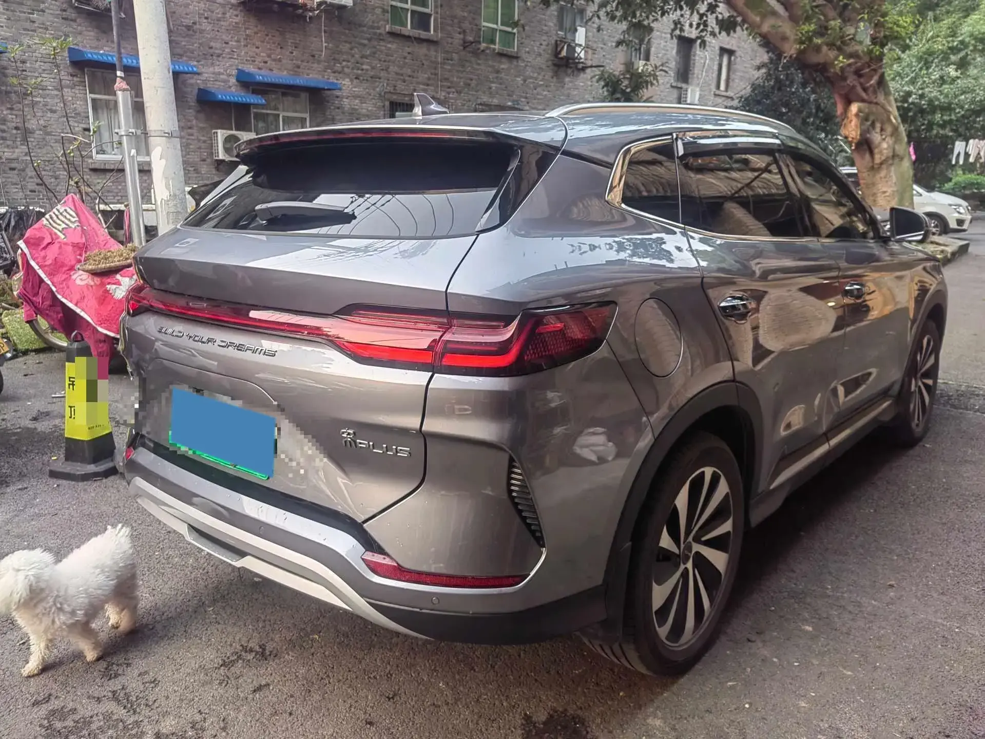 2024 BYD SONG thumbnail 3