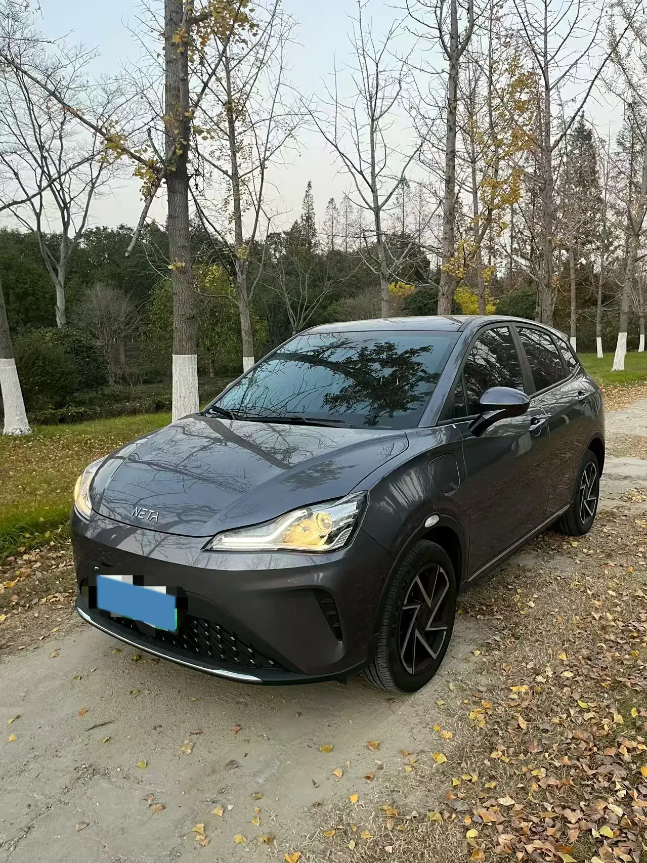 2023 NETA AYA view 1