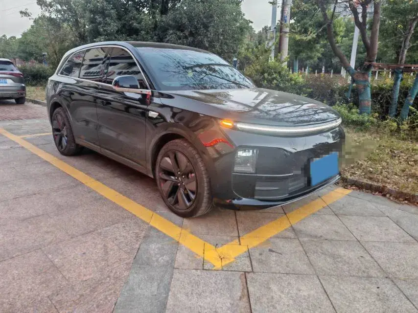 2024 LI L6 thumbnail 2