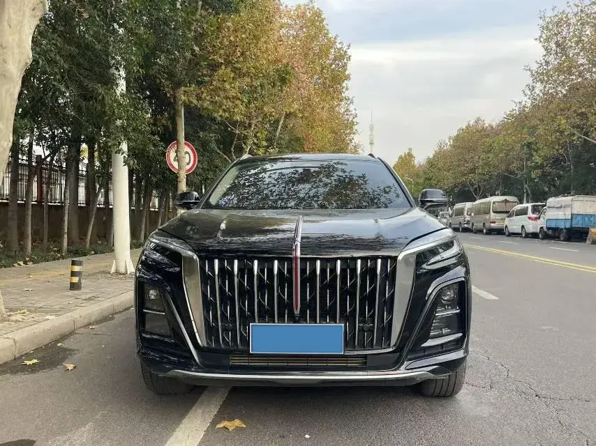 2024 HONGQI HS3 thumbnail 2