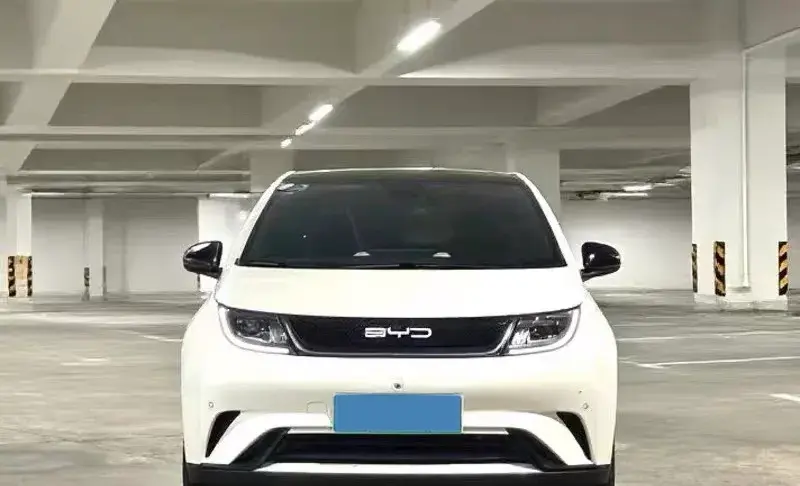 2023 BYD DOLPHIN thumbnail 2