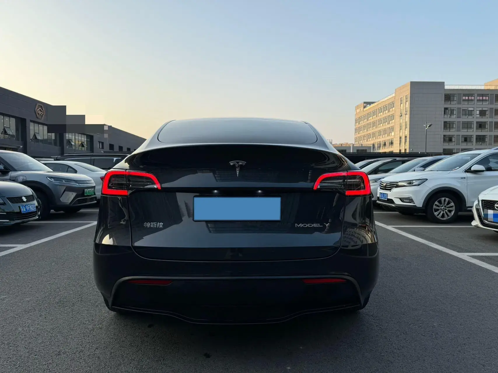 2024 TESLA MODEL thumbnail 4