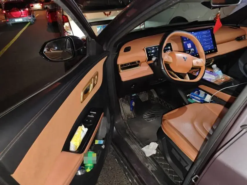 2023 NETA X thumbnail 4