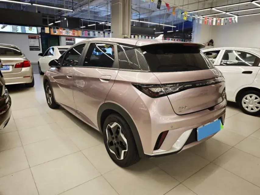 2021 BYD DOLPHIN thumbnail 2