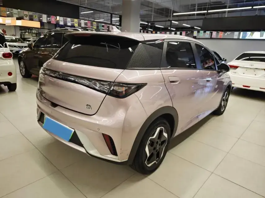 2021 BYD DOLPHIN thumbnail 3