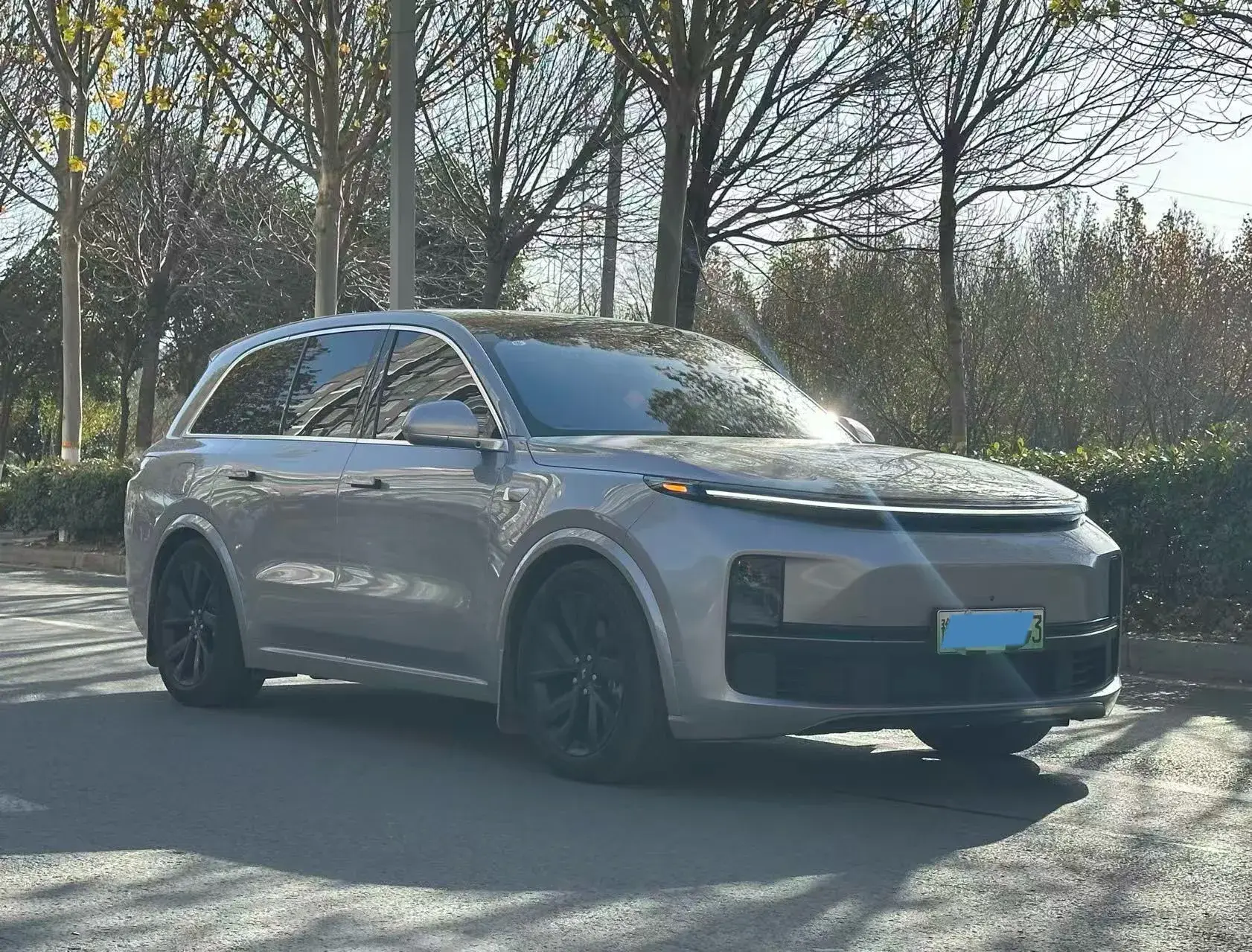 2023 LI L8 thumbnail 4