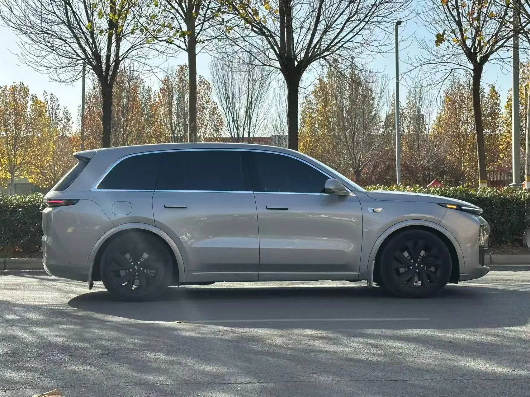 2023 LI L8 thumbnail 3