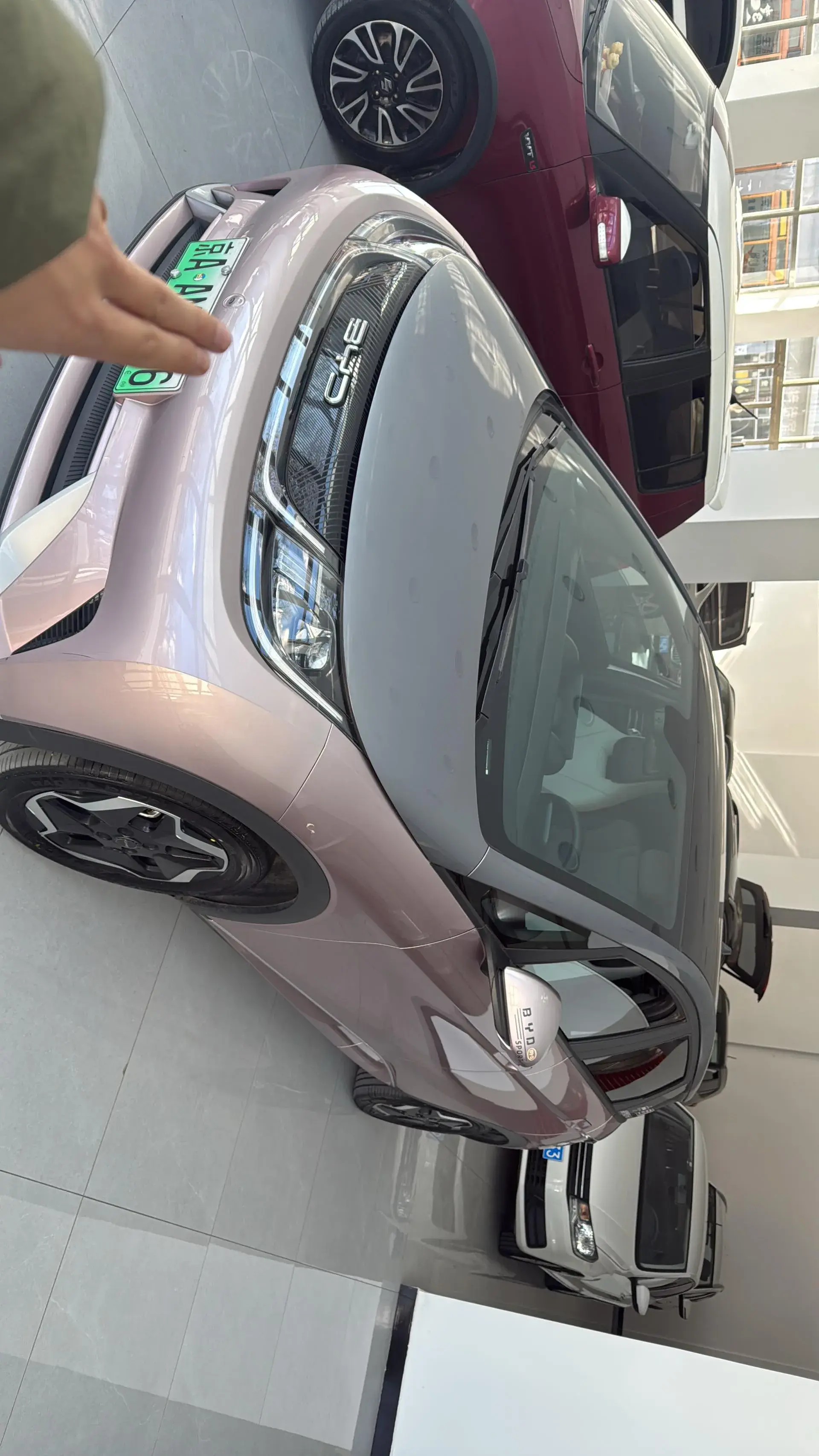 2021 BYD DOLPHIN view 1