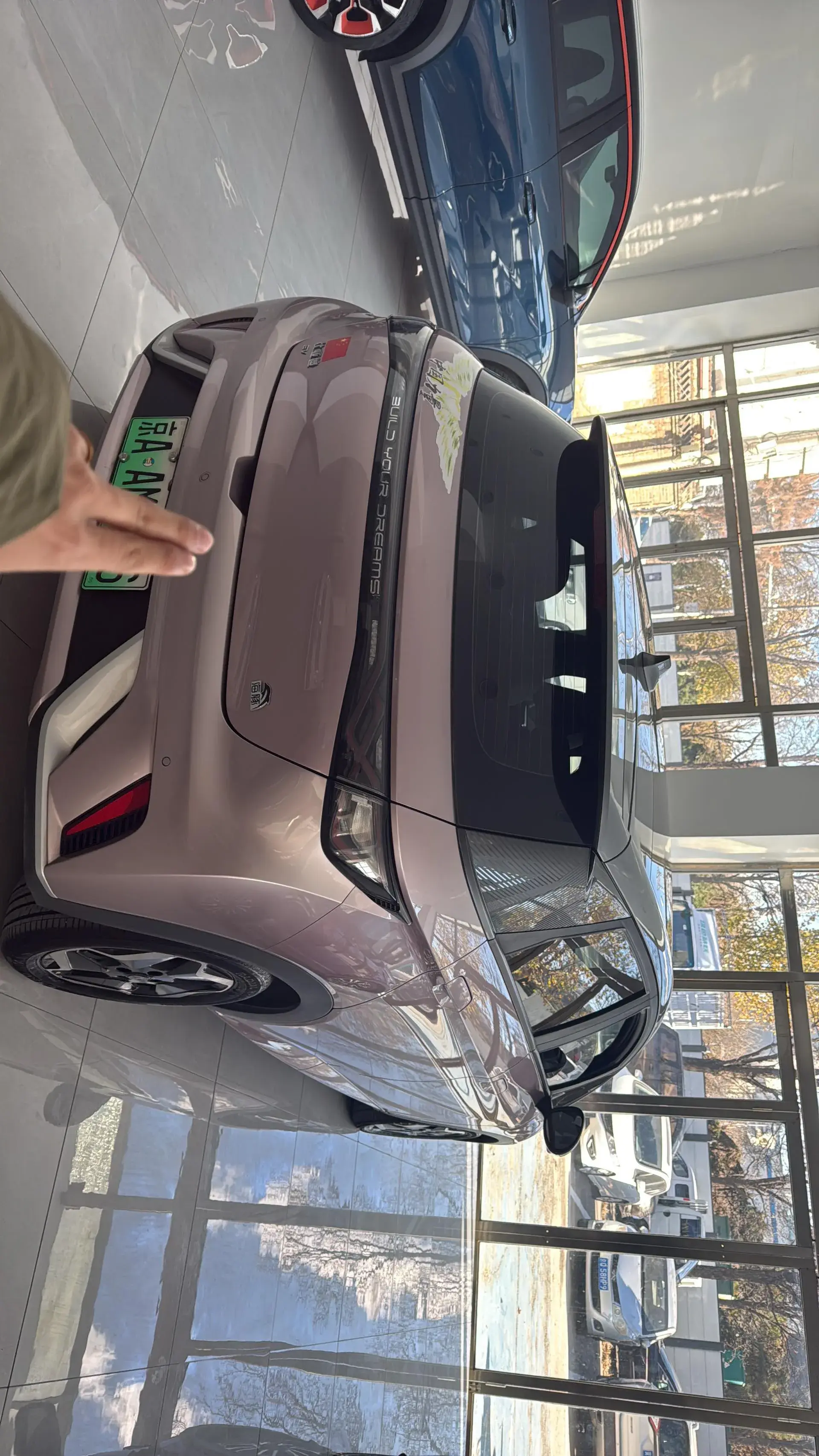 2021 BYD DOLPHIN thumbnail 2