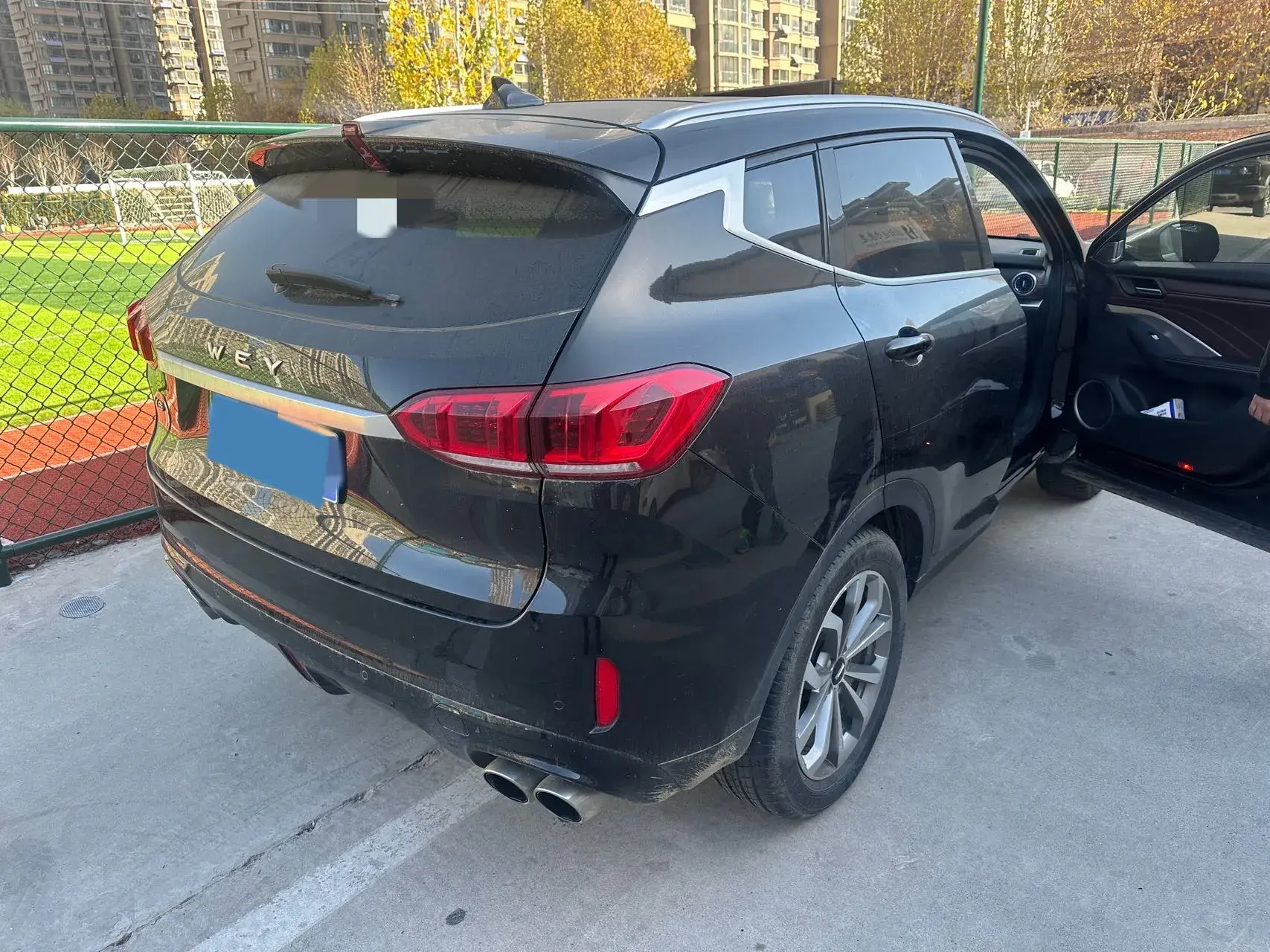 2020 WEY VV6 thumbnail 4