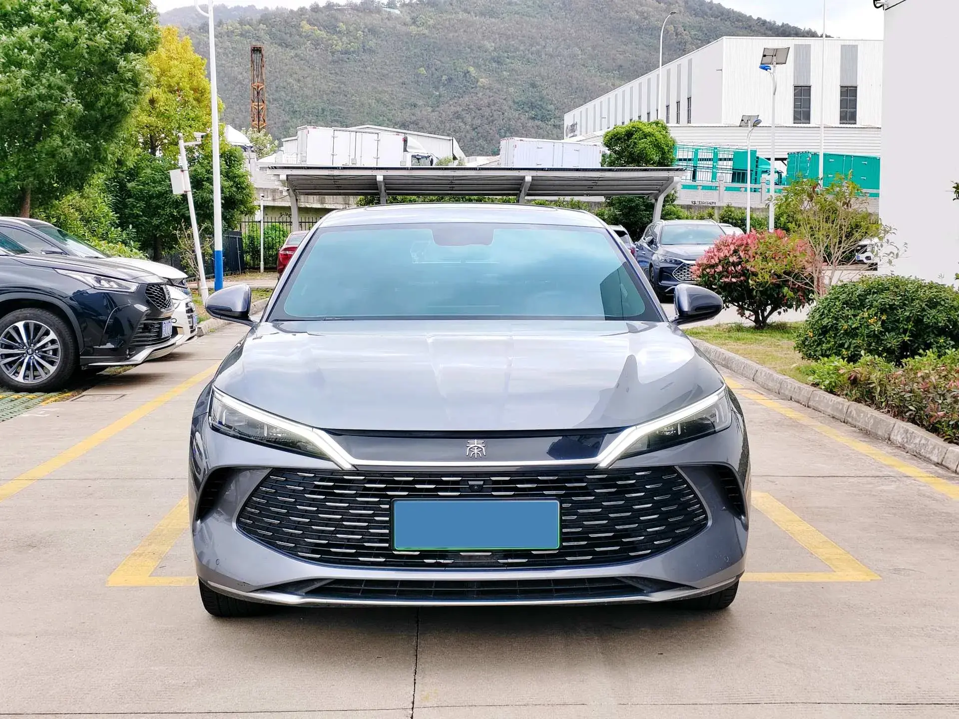 2024 BYD QINL thumbnail 2