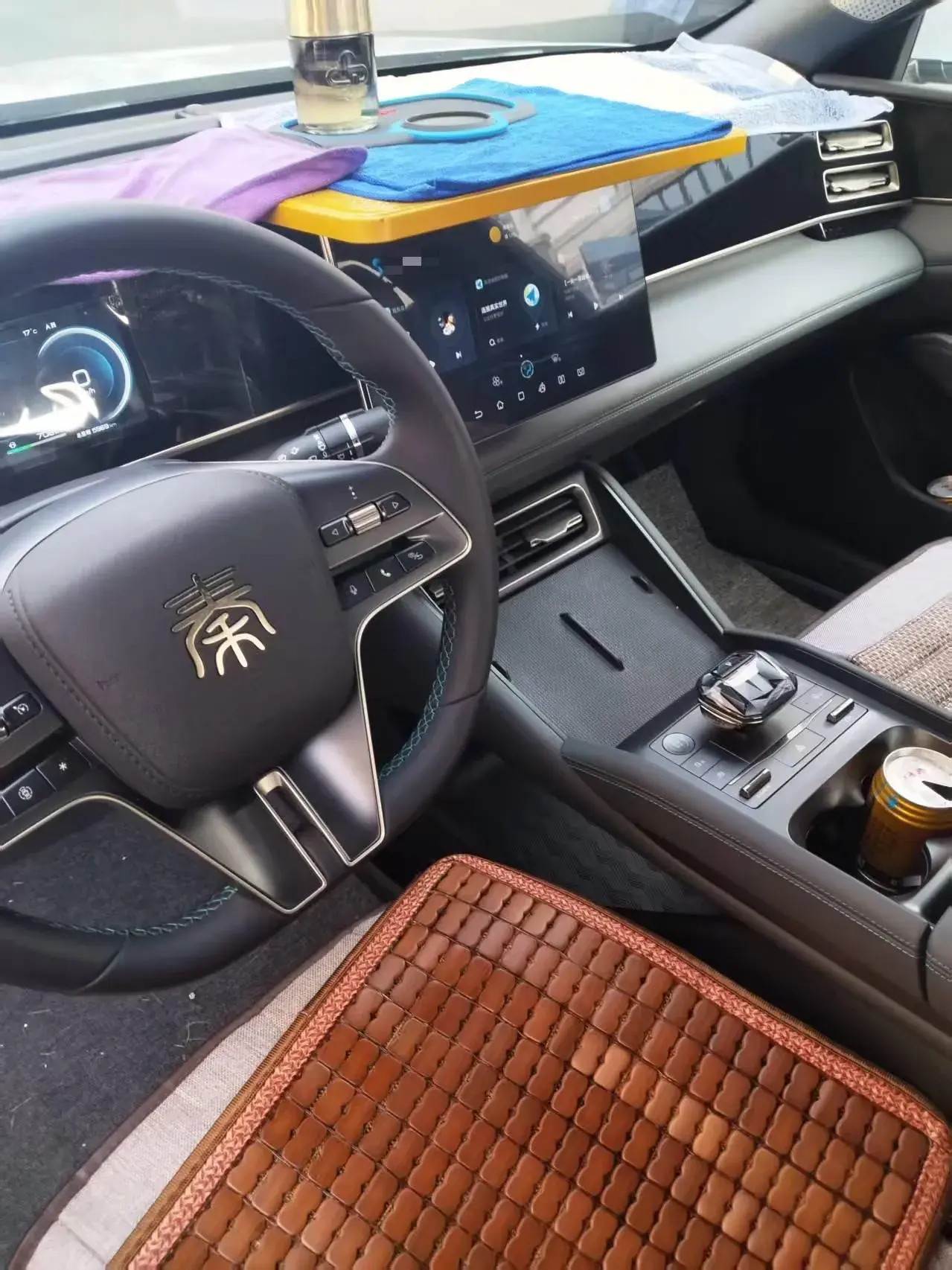 2024 BYD QINL thumbnail 2