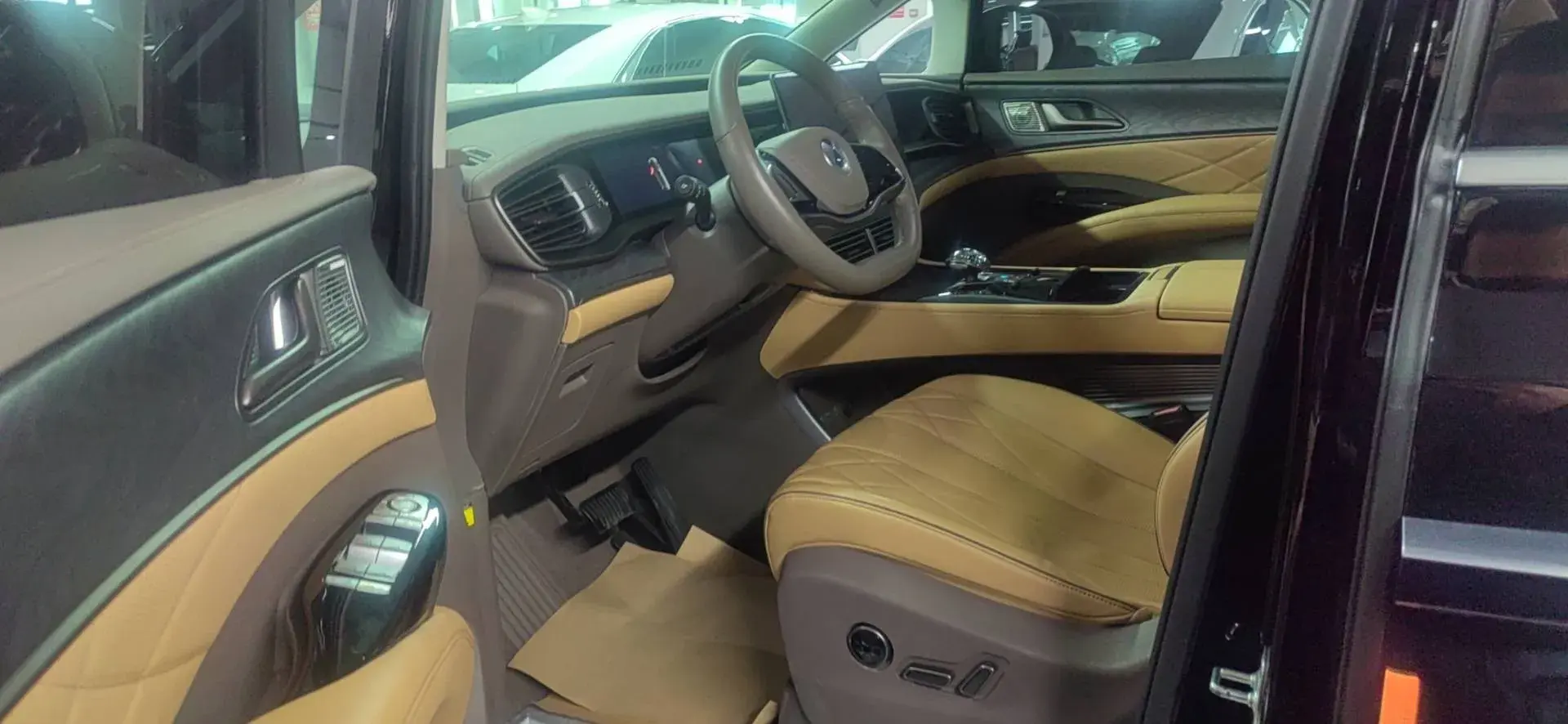 2022 DENZA D9 thumbnail 2