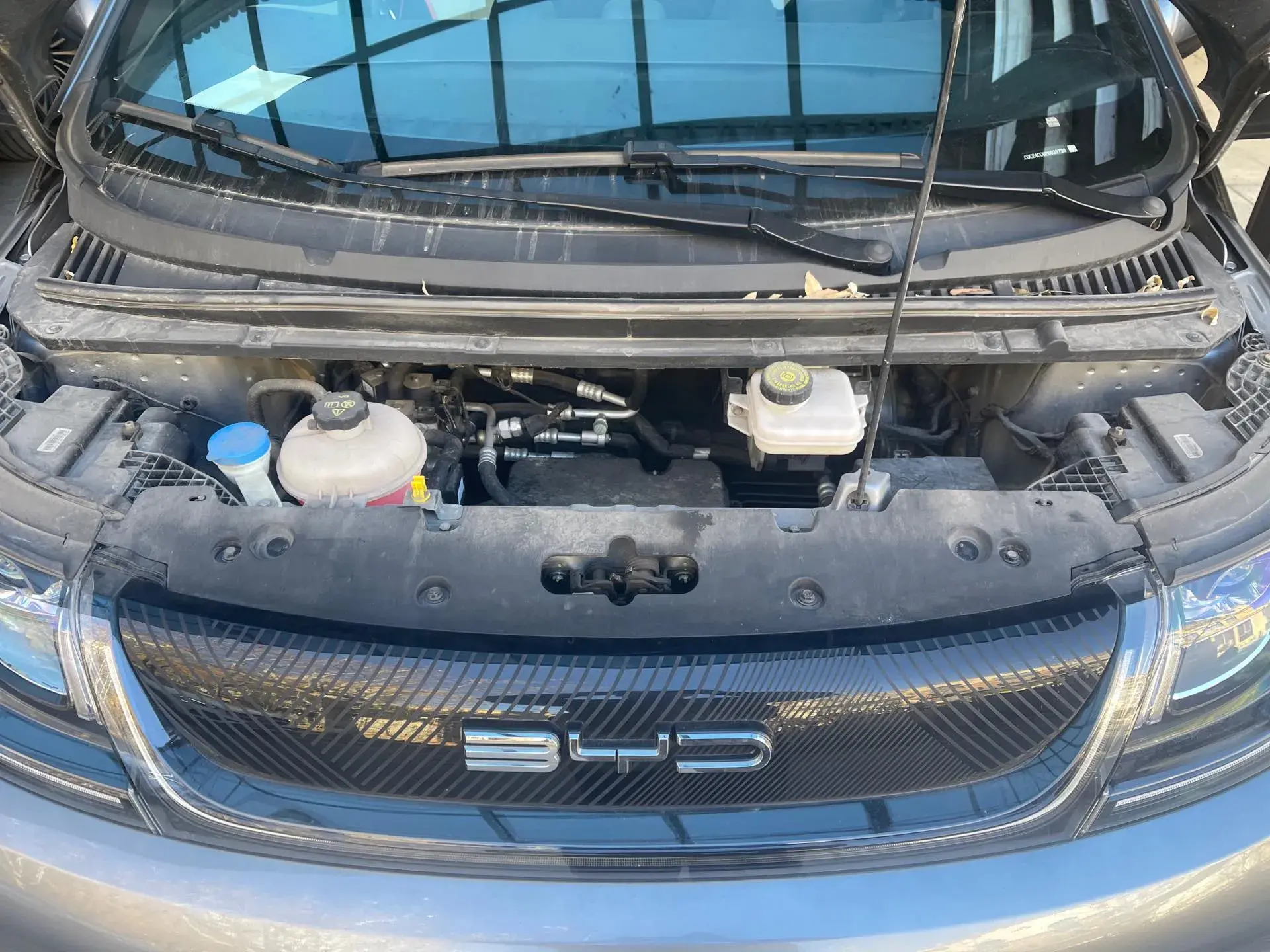 2021 BYD DOLPHIN thumbnail 2