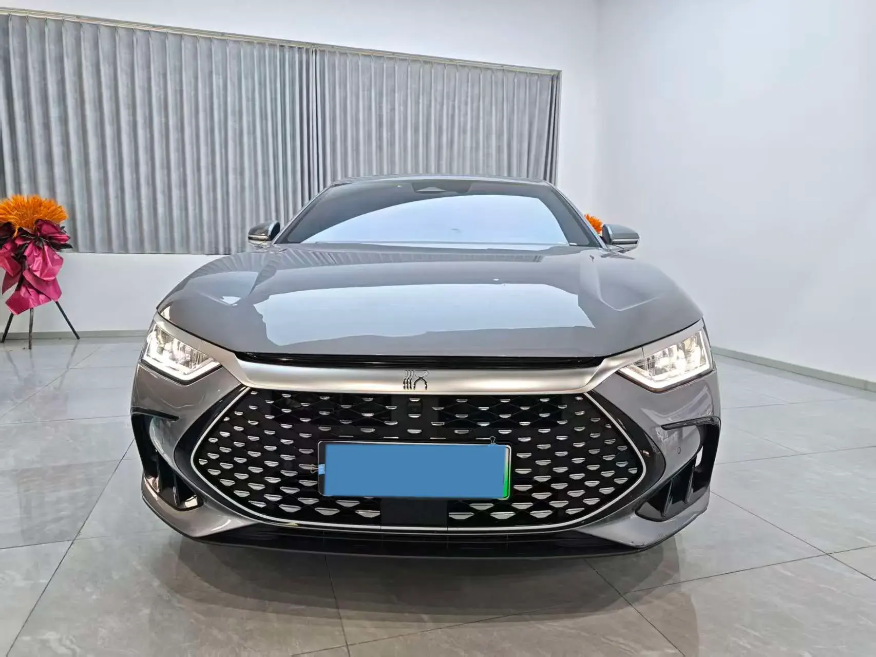 2022 BYD HAN thumbnail 2