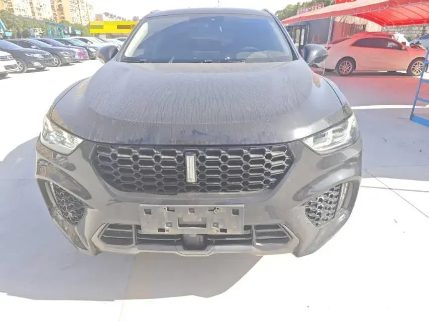 2019 WEY VV5 thumbnail 2