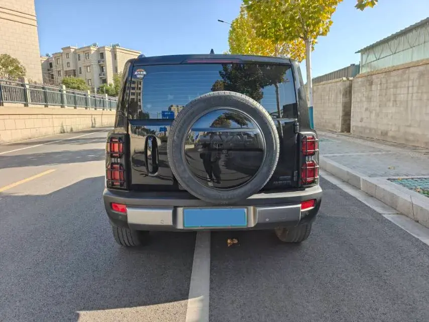 2024 HAVAL RAPTOR thumbnail 4