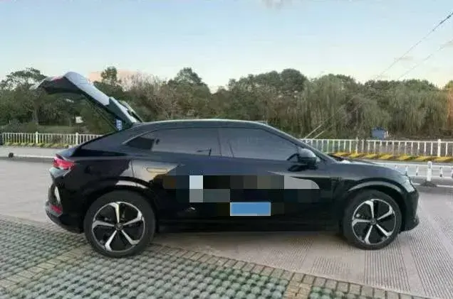 2025 BYD SONGL thumbnail 3