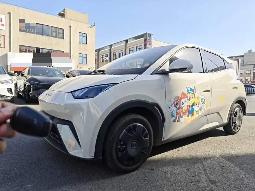 2025 BYD SEAGULL view 1