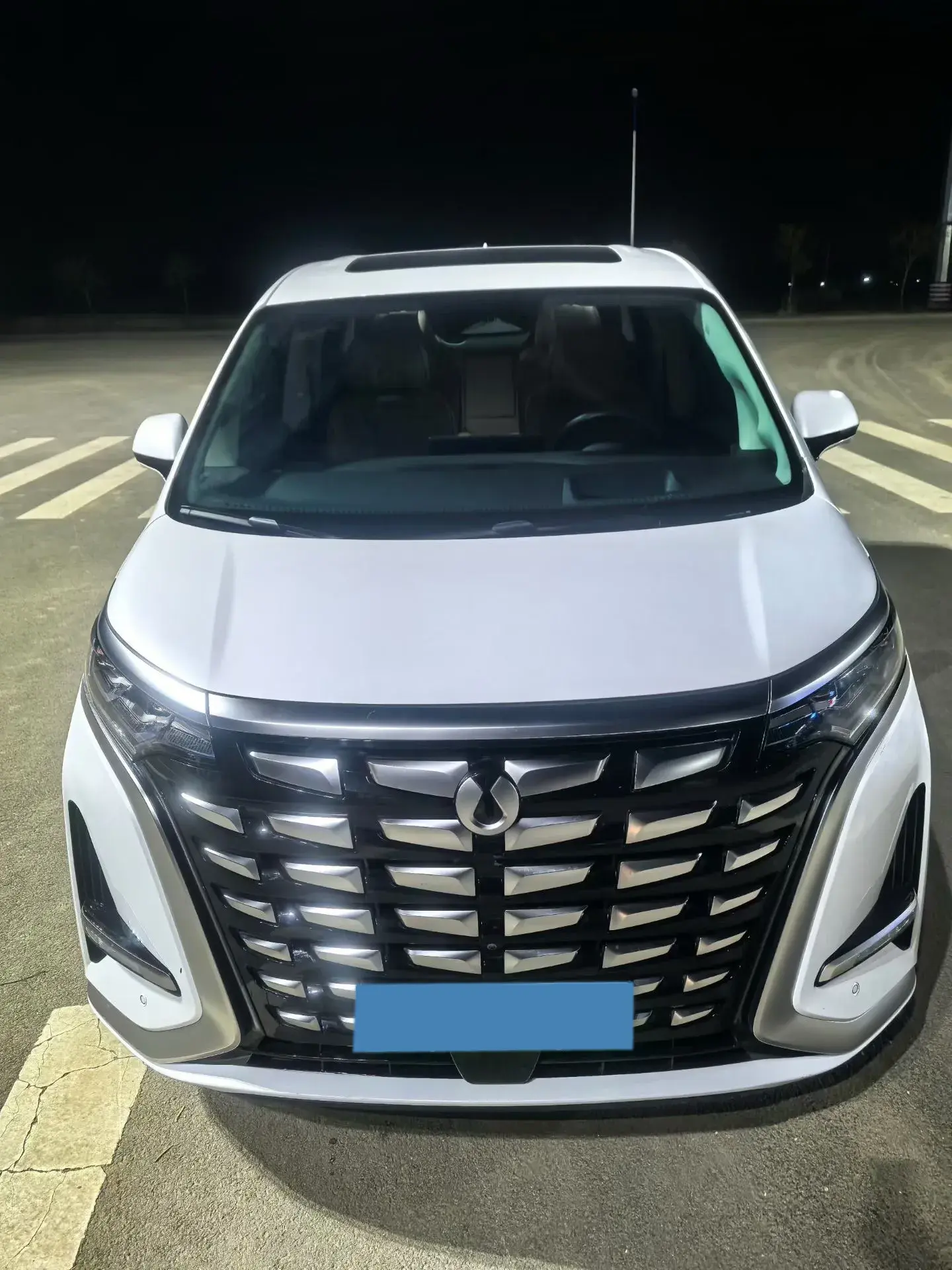 2024 DENZA D9 thumbnail 2