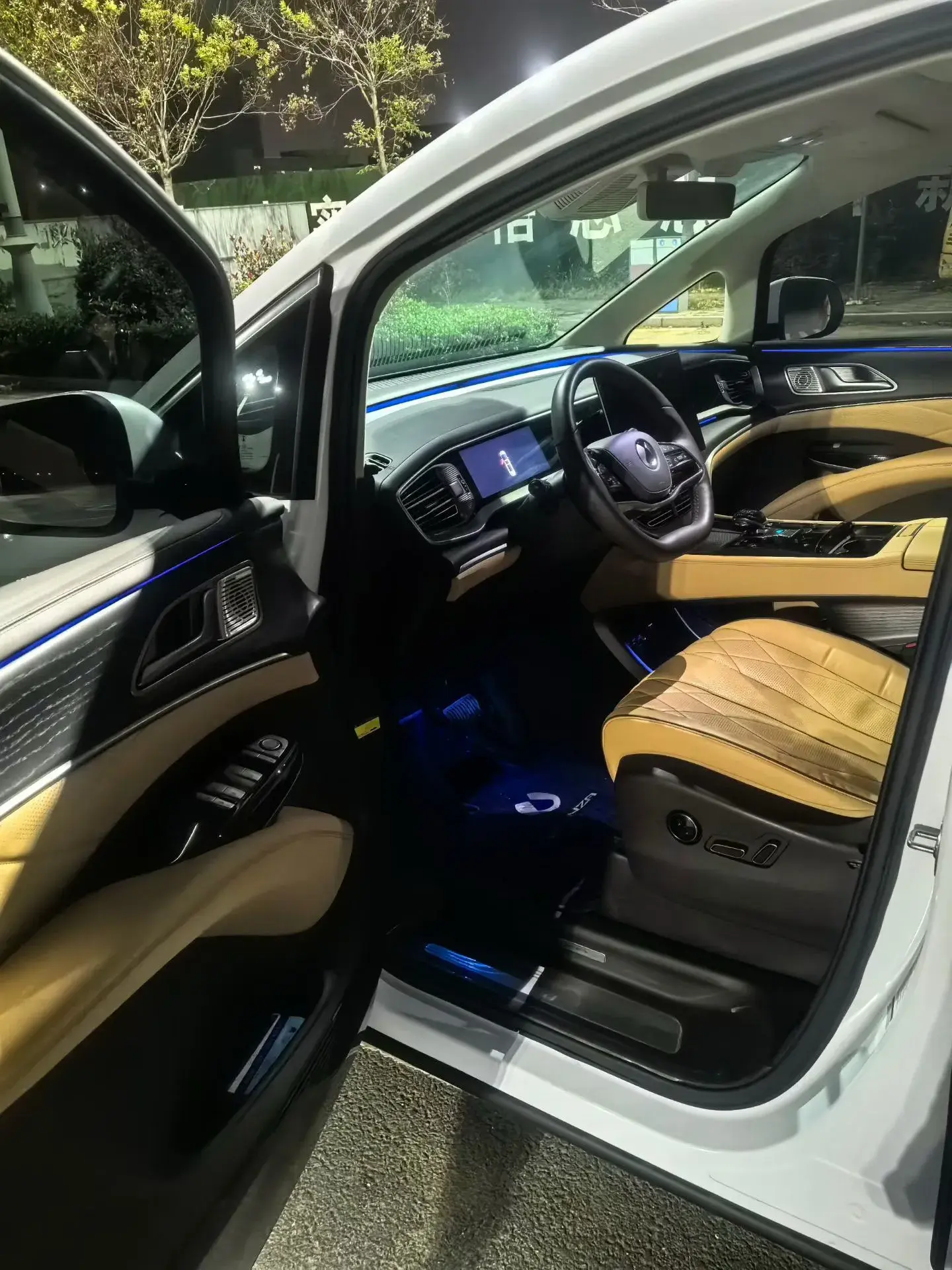 2024 DENZA D9 thumbnail 4