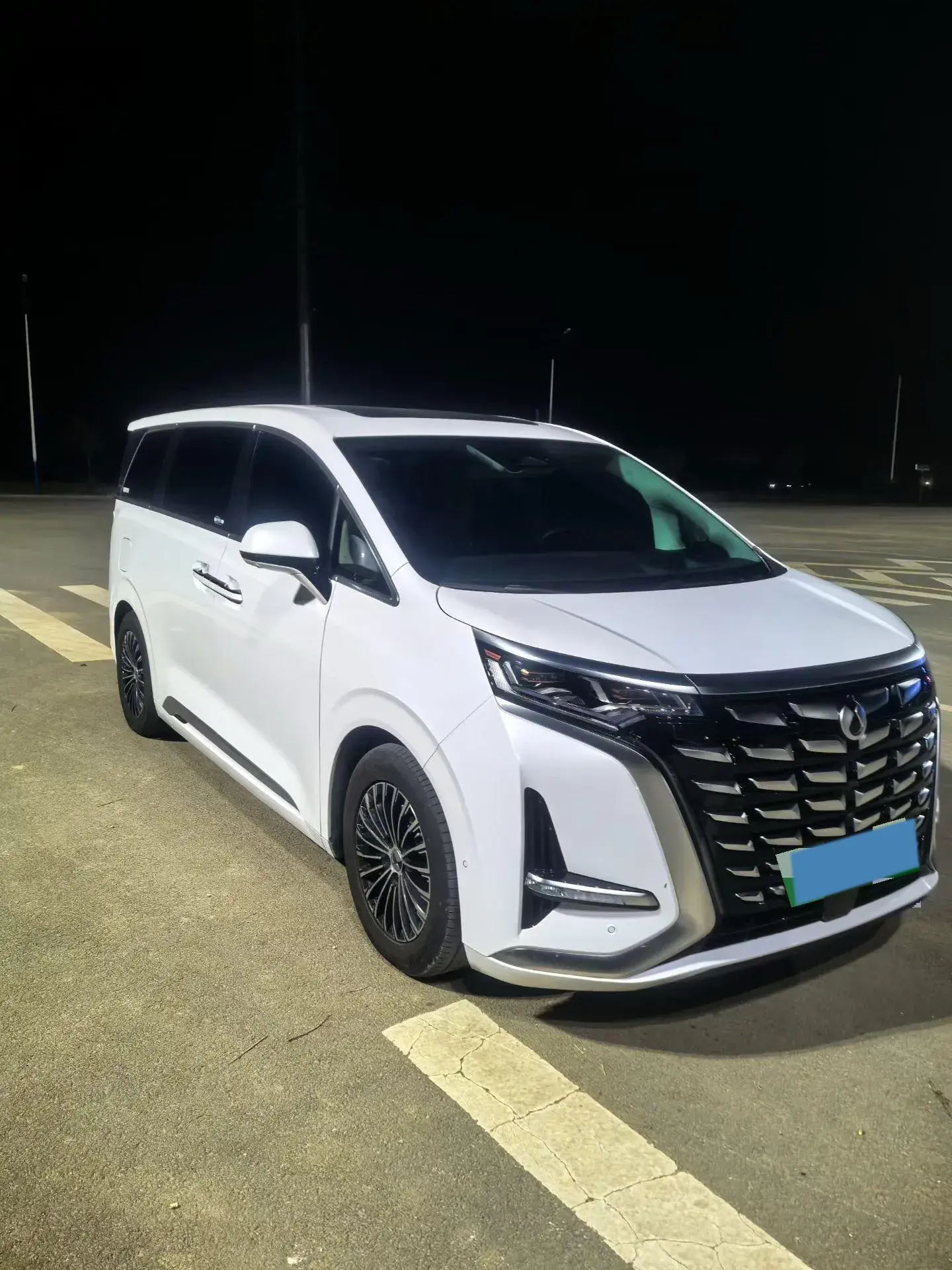 2024 DENZA D9 thumbnail 3