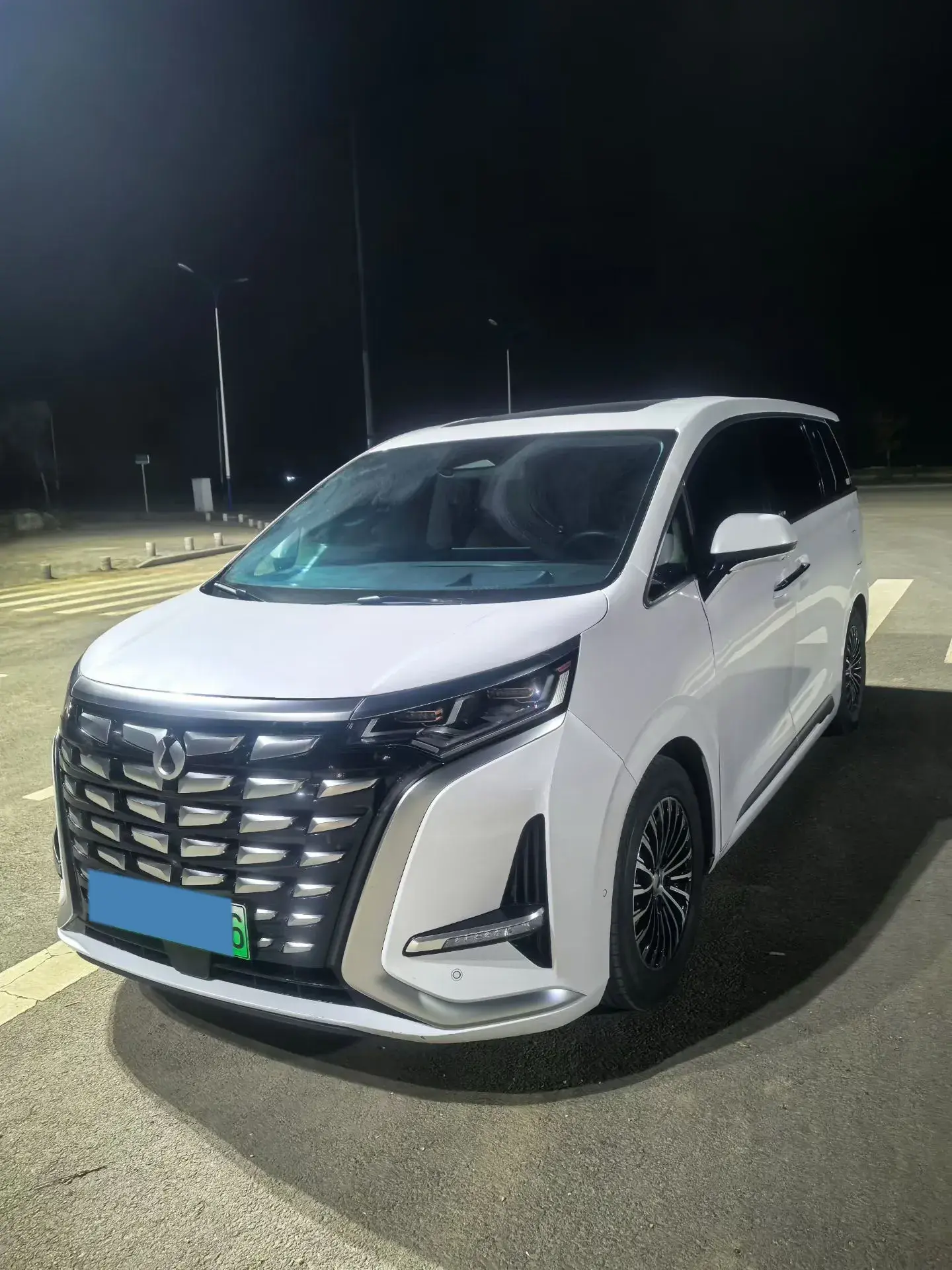 2024 DENZA D9 view 1