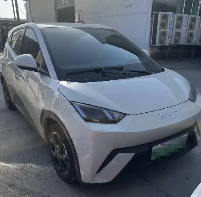 2024 BYD SEAGULL thumbnail 2