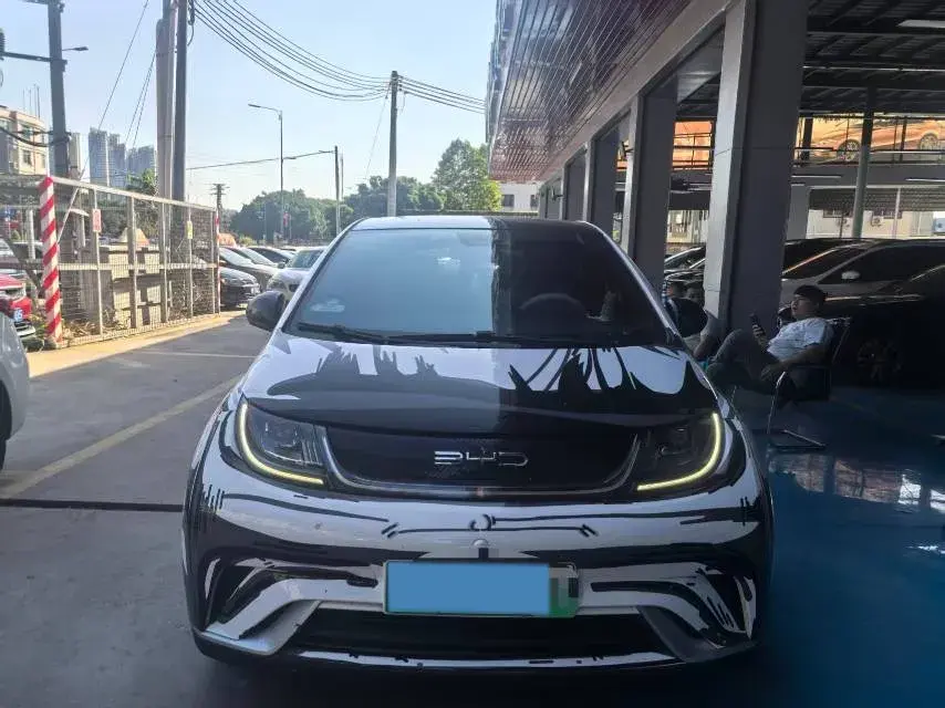 2021 BYD DOLPHIN thumbnail 3