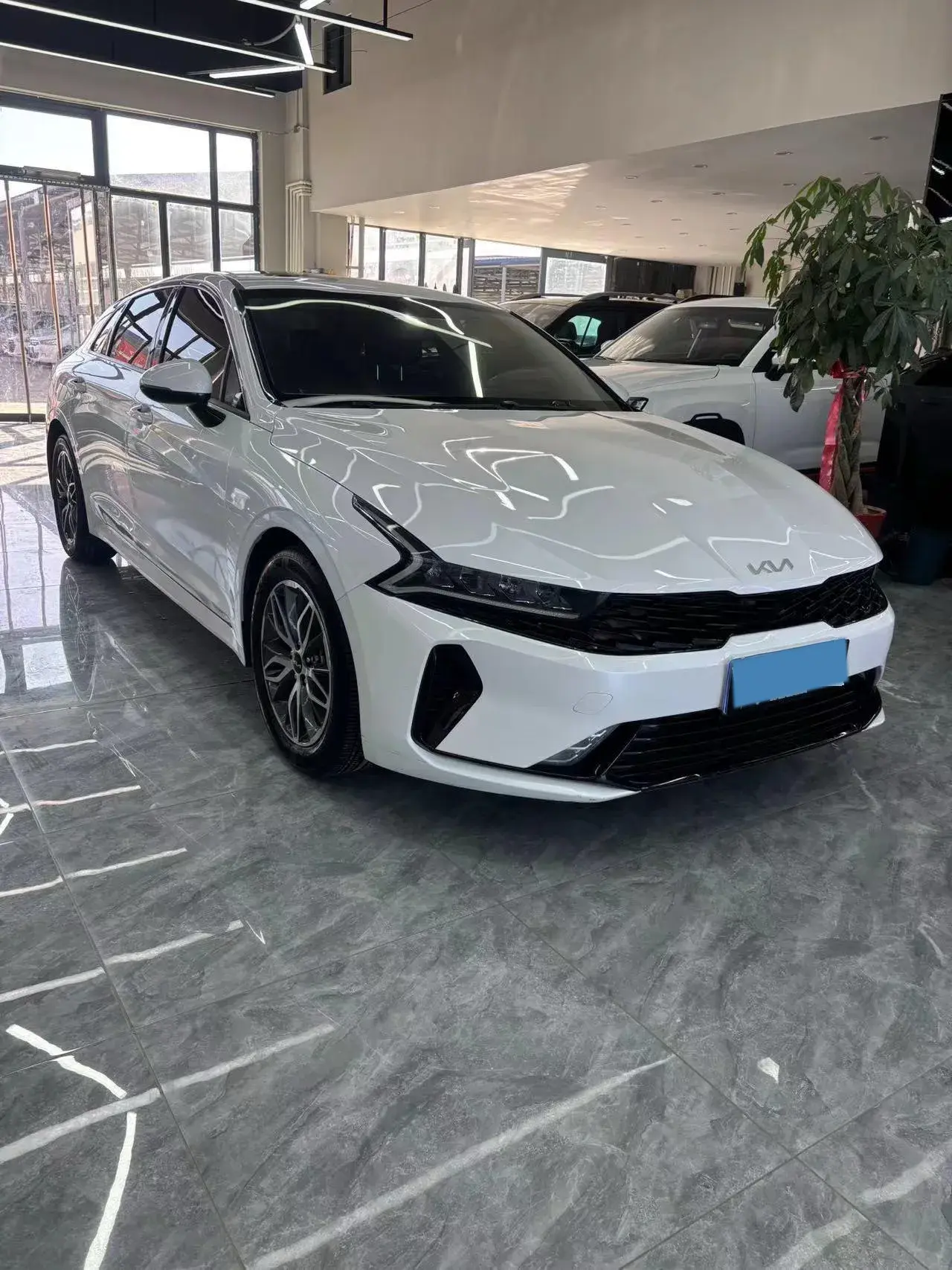 2021 KIA K5 thumbnail 2