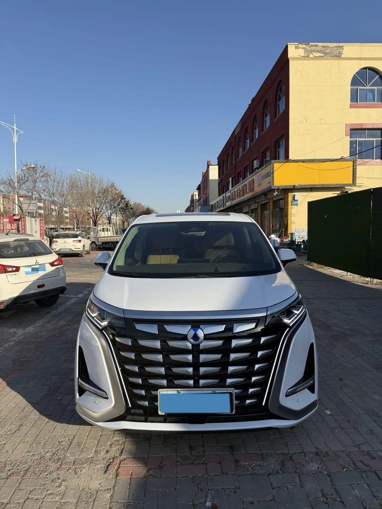 2022 DENZA D9 thumbnail 2