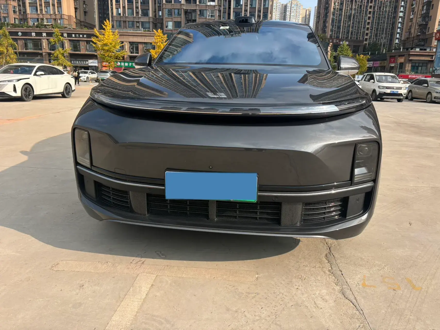 2022 LI L9 thumbnail 2