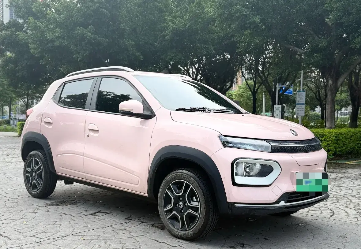 2022 DONGFENG NAMMI thumbnail 2