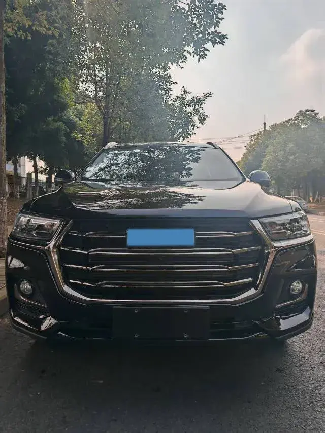 2021 HAVAL H6 thumbnail 2