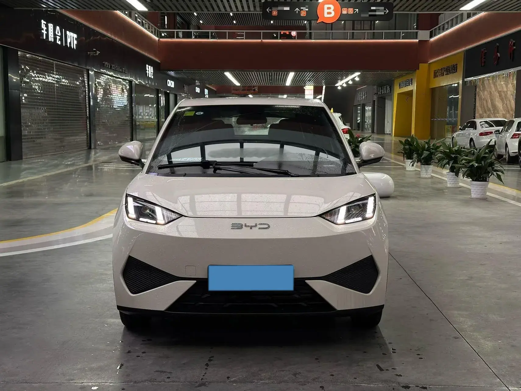 2025 BYD SEAGULL thumbnail 2